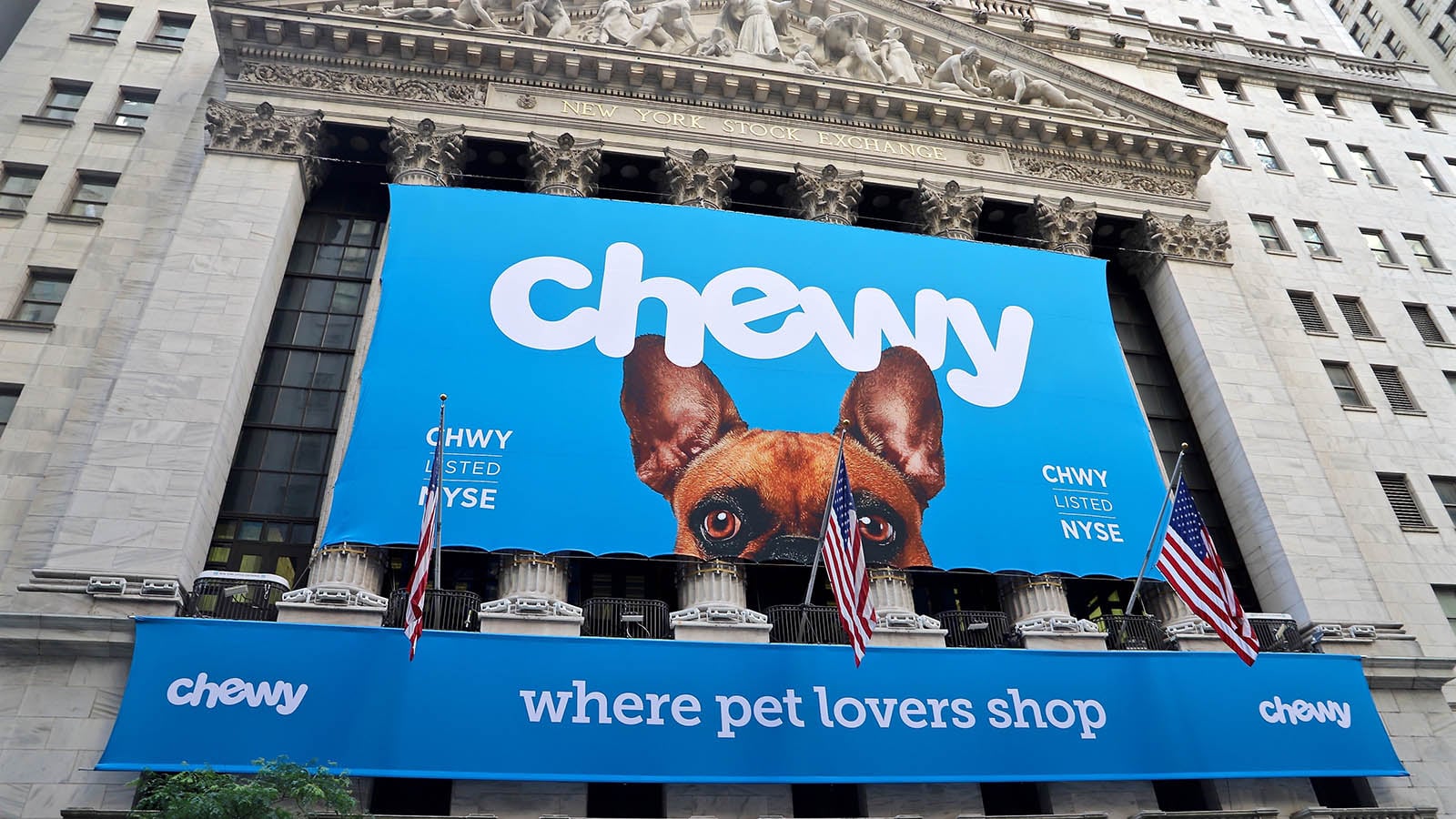 Chewy (NYSE: CHWY) Stock: Valuation, Earnings Outlook, and Market Resilience