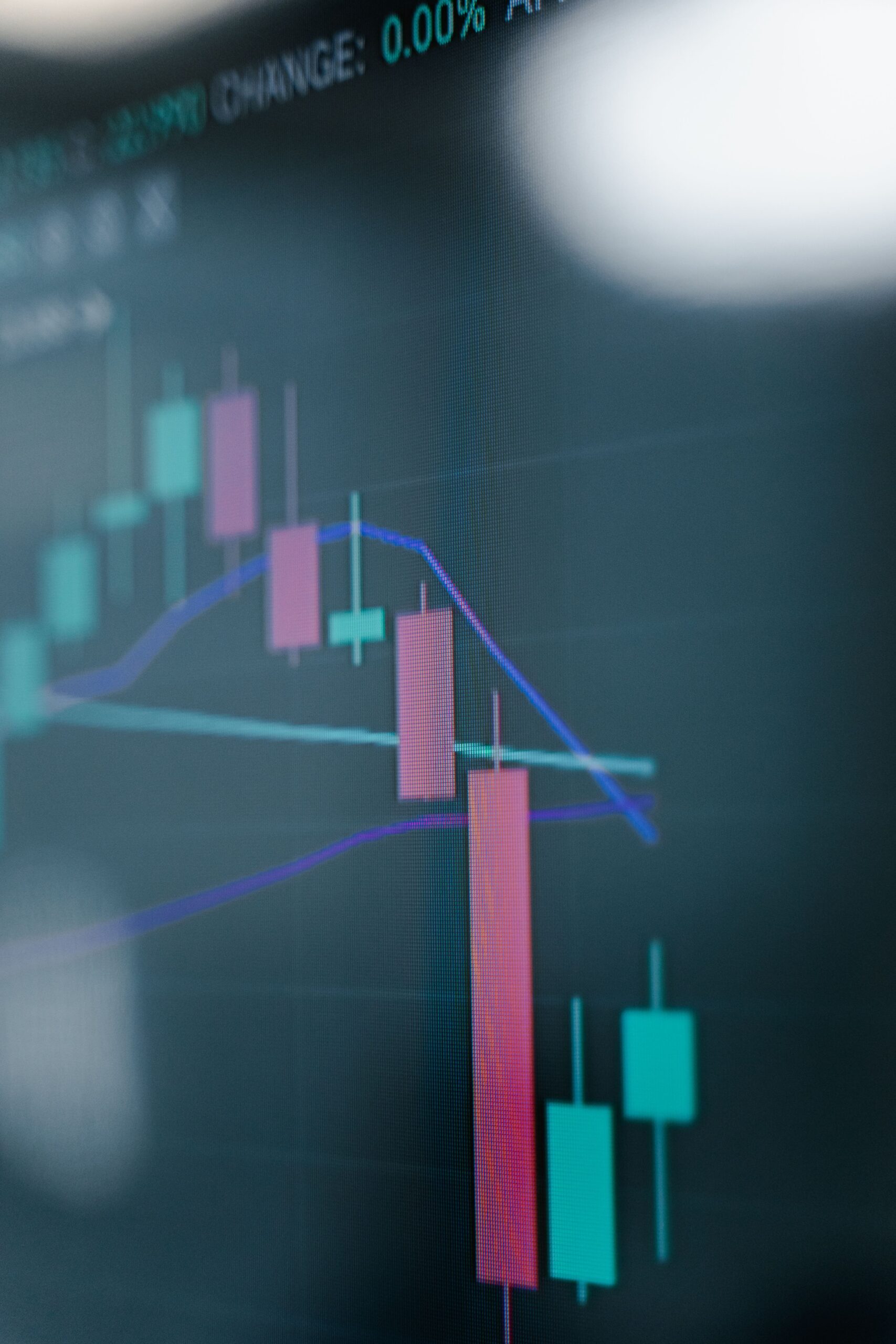 Top Stock Gainers: Catalysts Behind Today’s Market Surges